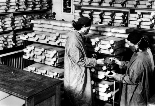 FIG 6.2: Two of the six women—Ruth Callow, Claire Inayat, Betty Cooke, Peggy Gardner, Megan Lancaster, and Patricia McKegney—trained to “farm” penicillin from fermenting mold canisters in the 1930s. Industrial scale production wouldn’t come for a decade. Copyright © 2017 Women working with penicillin cultures © Museum of the History of Science, University of Oxford