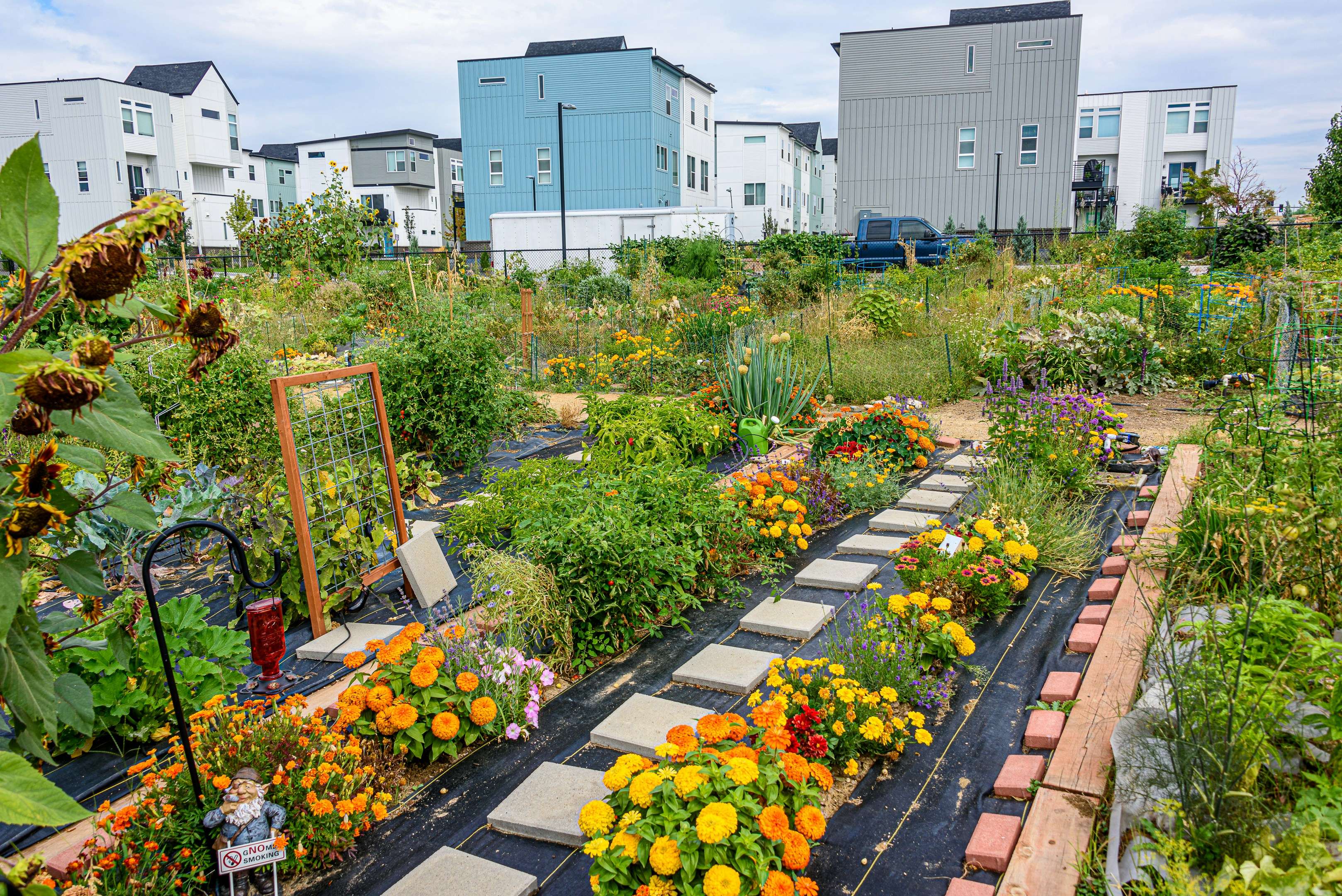 FIG 2.1: A community garden is the intersection of many needs and skillsets, each as important to the success of the effort. Photo by Steve Adams on Unsplash.