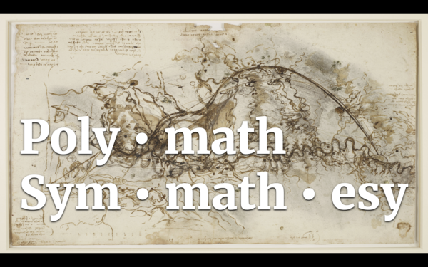 A sketch by Leonardo Da Vinci with the words "Polymath" and "Symmathesy"